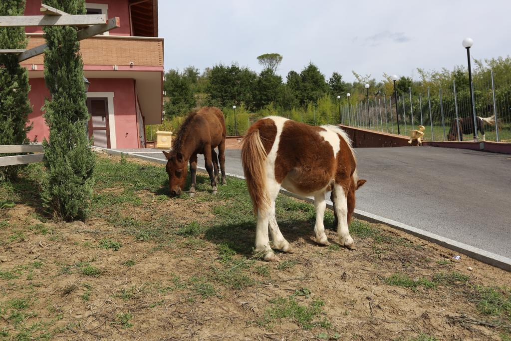 Agriturismo Ciociaro " Il Colle " Hotel Ristorante Ceprano Exteriör bild